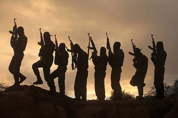 jihadists